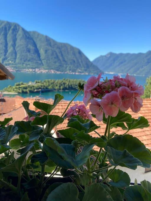 Сasa de vacaciones Casa Alle Fontane *